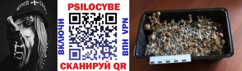 Галлюциногенные грибы GOLDEN TEACHER  купить наркотик  mega ONION  Чудово 